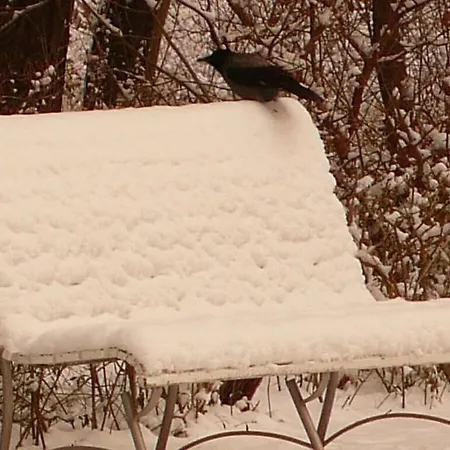 Oie, Lebensart Gbr Ferienhaus *