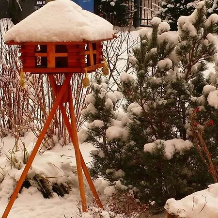 Oie, Lebensart Gbr Ferienhaus Ostseebad Heringsdorf
