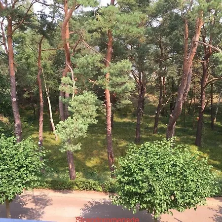 Oie, Lebensart Gbr Ostseebad Heringsdorf