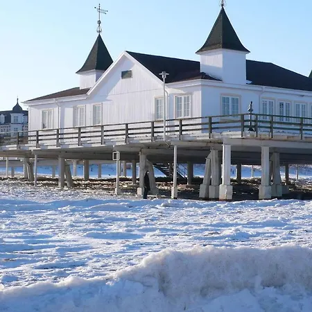 Oie, Lebensart Gbr * Ostseebad Heringsdorf