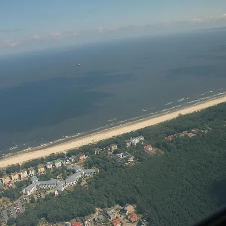 Oie, Lebensart Gbr * Ostseebad Heringsdorf