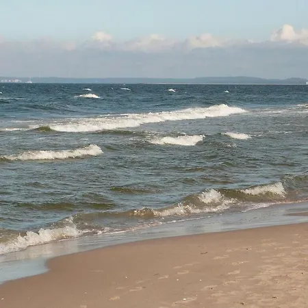 Oie, Lebensart Gbr Ostseebad Heringsdorf