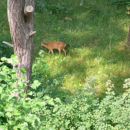 Ferienhaus Oie, Lebensart Gbr *