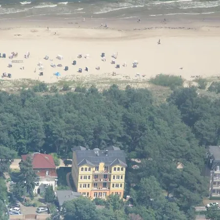 Oie, Lebensart Gbr Ostseebad Heringsdorf