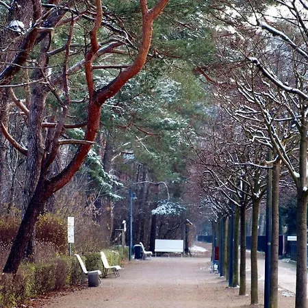 Oie, Lebensart Gbr *